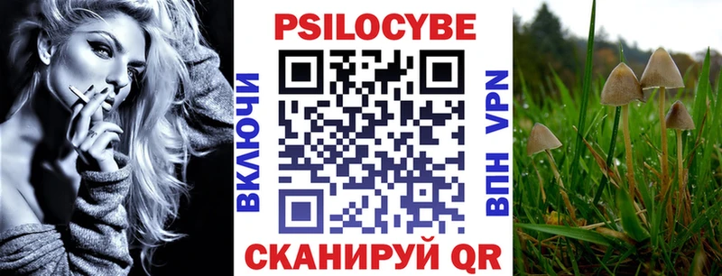 как найти закладки  Шенкурск  Псилоцибиновые грибы прущие грибы 