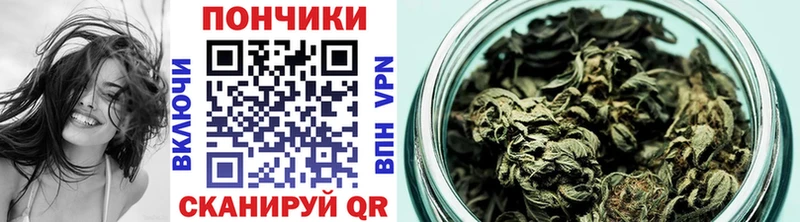 площадка состав  Шенкурск  МАРИХУАНА Amnesia 
